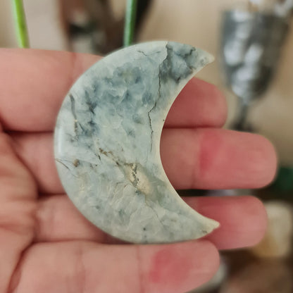 A hand holding a dendritic opal moon-shaped crystal, with a blurred background.