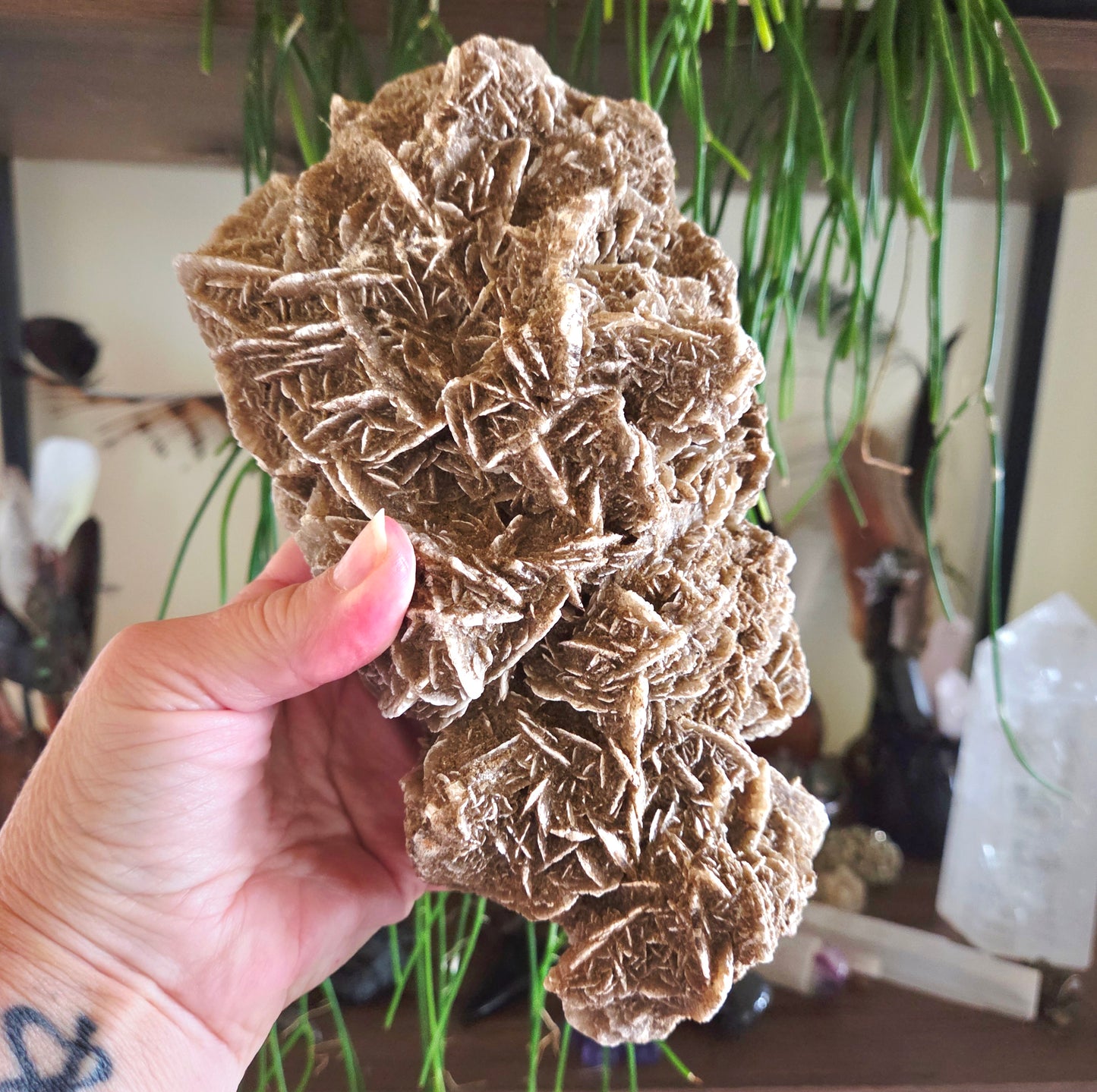 A person's hand holding a desert rose cluster mineral.