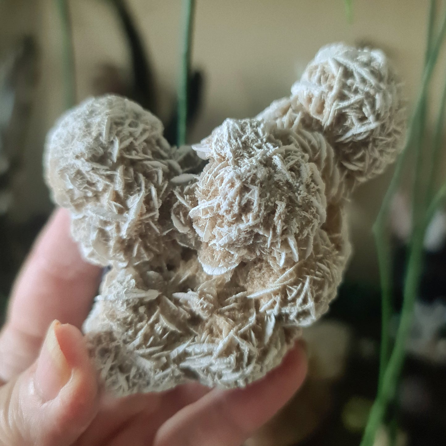 desert rose crystal held by a hand