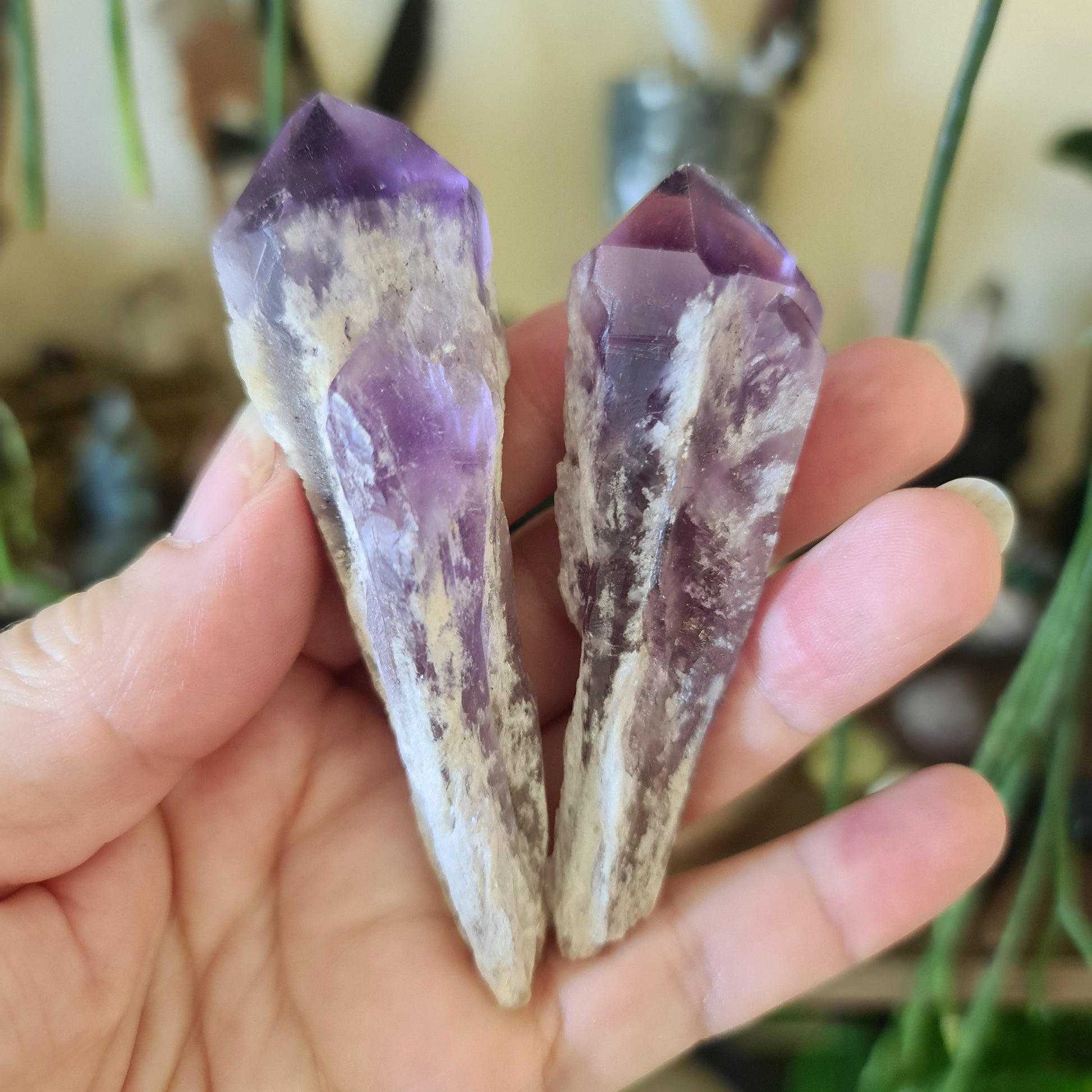 Two polished purple amethyst crystals with a rough, unpolished surface, held in a person's hand.