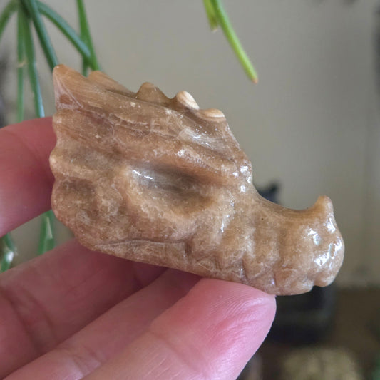 Hand holding a stone carving of a bear paw with a blurred background