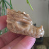 Dragon Head - Mini