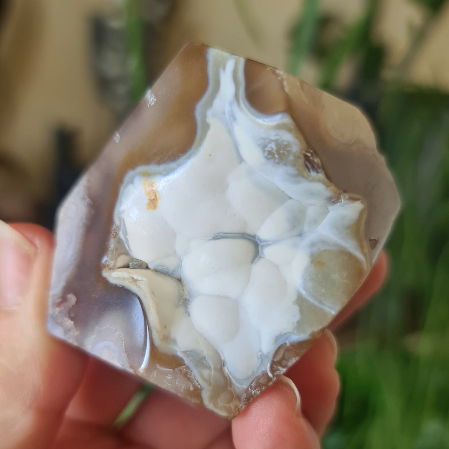 flower agate crystal with druzy cave
