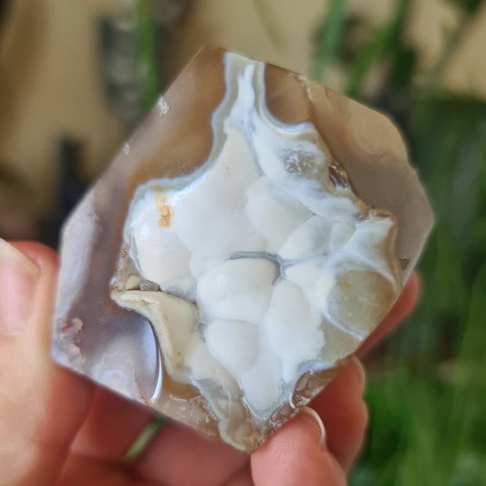 flower agate crystal with druzy cave