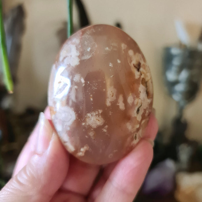 A hand holding a polished Flower Agate Palm Stone with a brown and white color pattern.