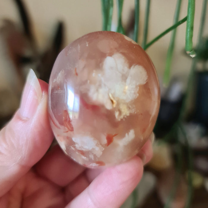 Flower Agate Palm Stone
