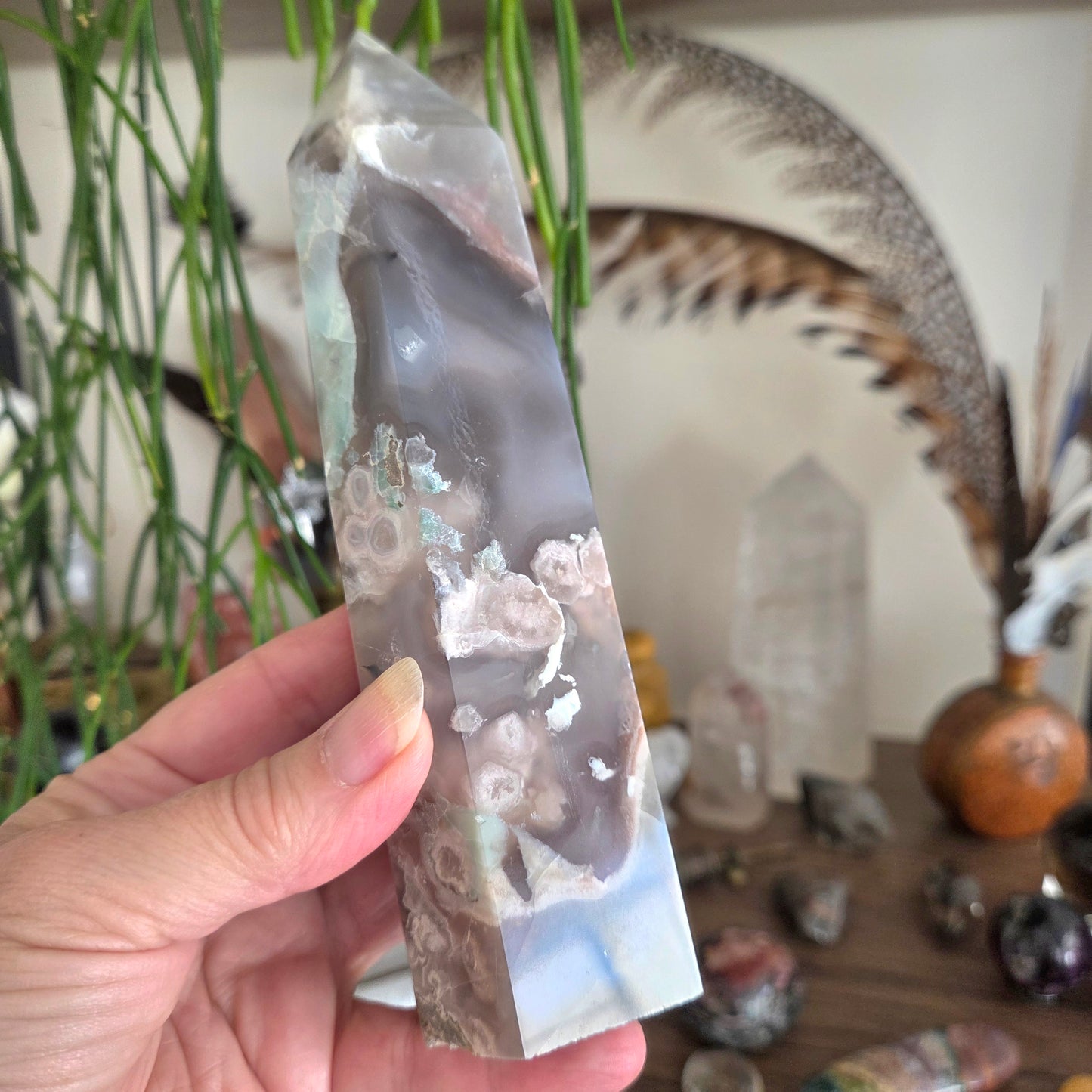 Person holding a crystal with a decorative background of plants and stones.