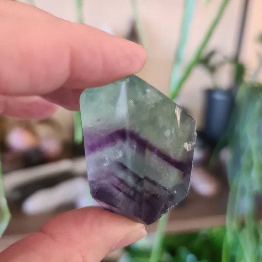 fluorite crystal in a hand