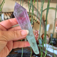 A hand holding a fluorite crystal scepter with a green and purple coloring, against a backdrop of various decorative items.