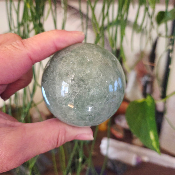 A hand holding a green fluorite sphere with a plant in the background.
