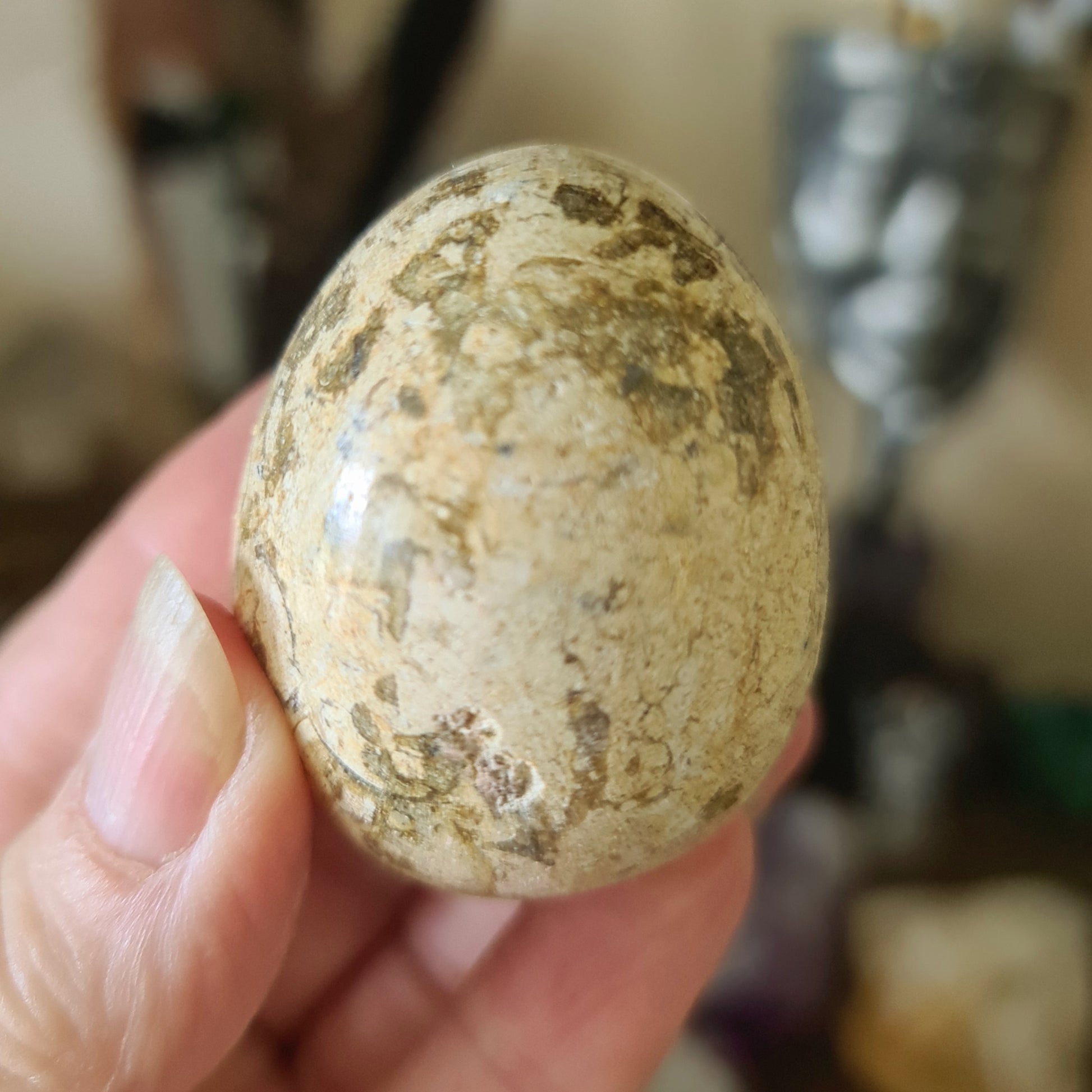 A close-up of a beige-colored fossil coral jasper egg held in a person's hand.