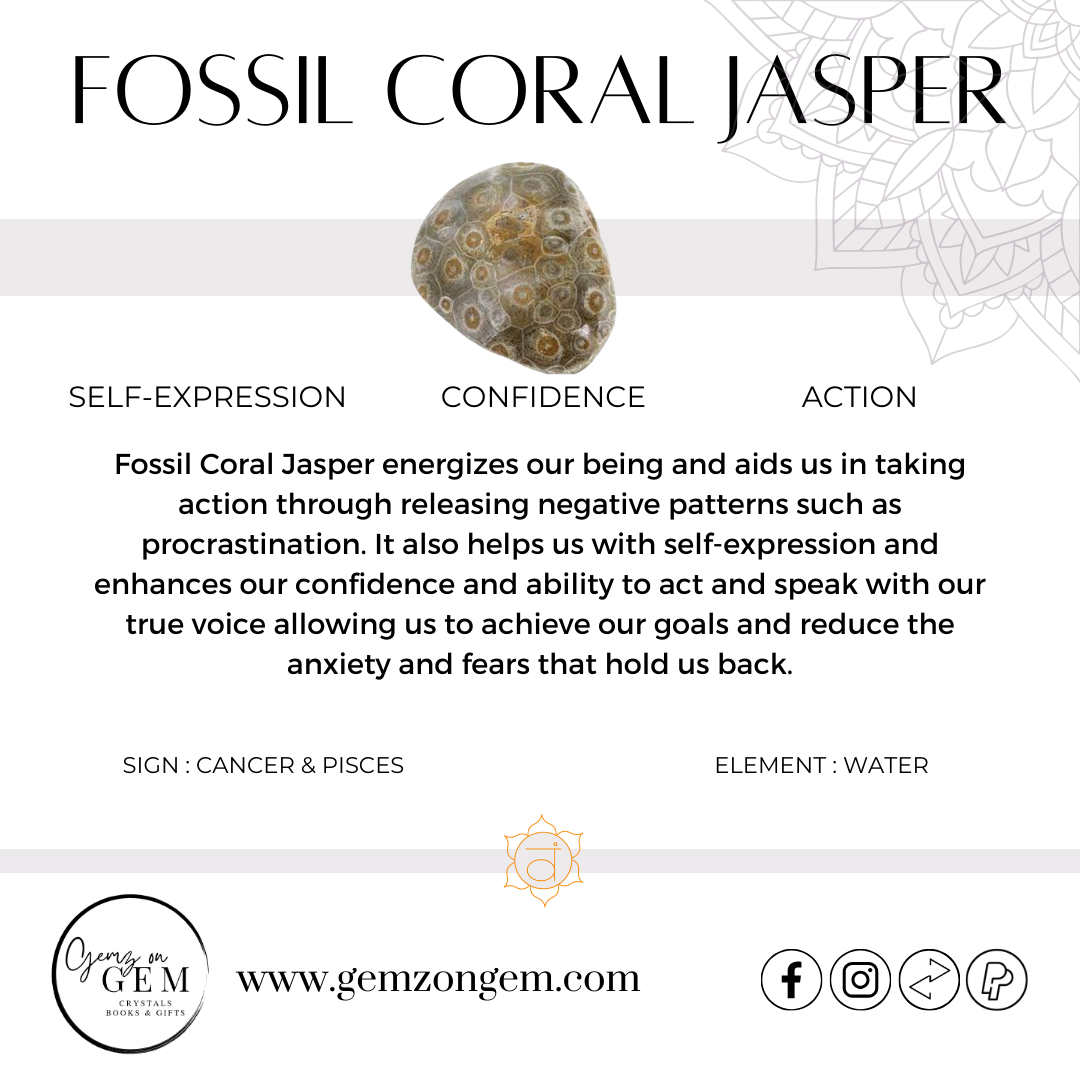 Fossil Coral Jasper Egg