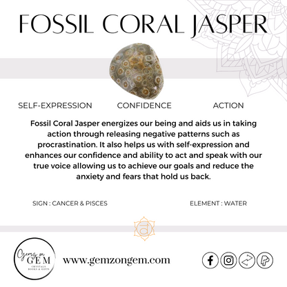 Fossil Coral Jasper Egg