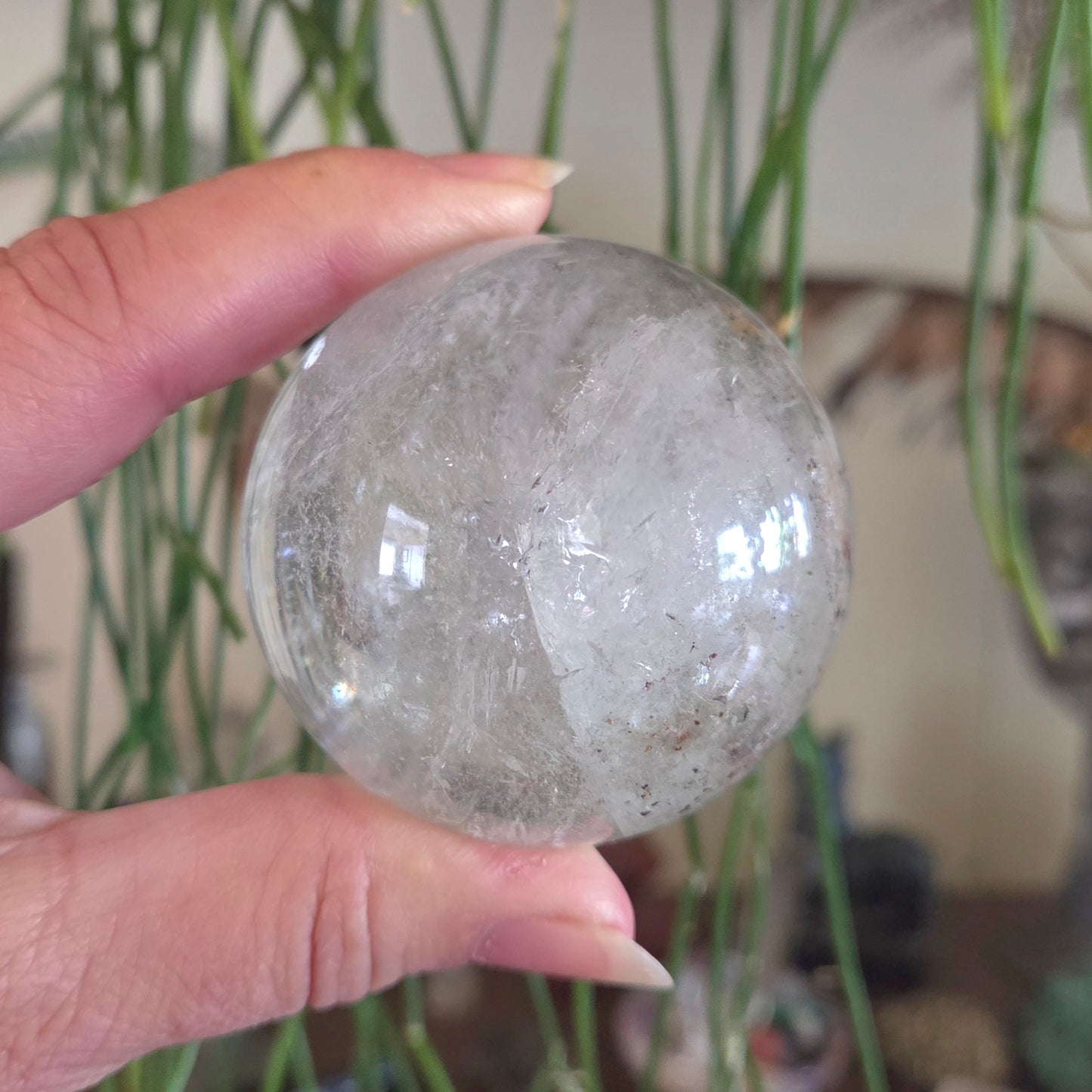 Clear crystal ball held by a hand with a blurred plant background