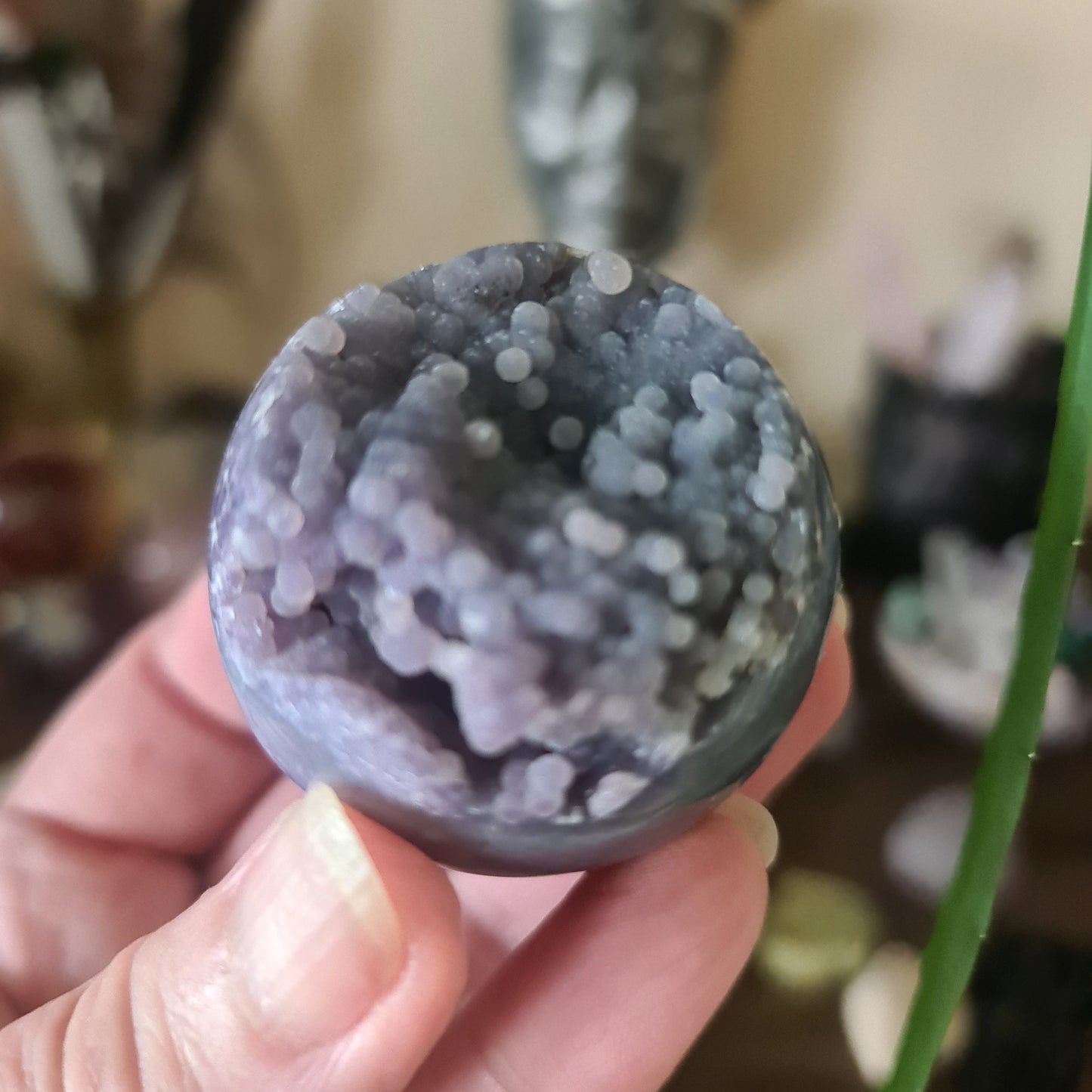 A polished Grape Agate Geode held in a person's hand, with a blurred background suggesting a indoor setting, likely a store or home environment.