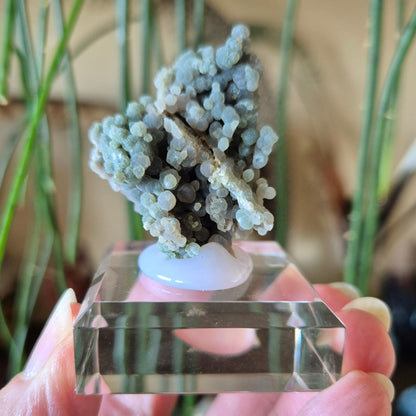 grape agate specimen on acrylic stand