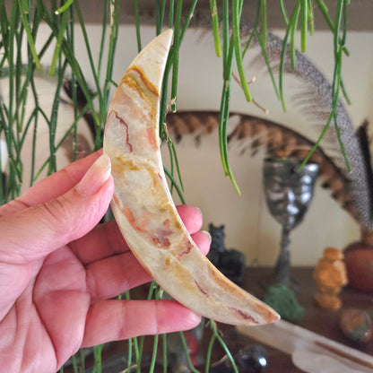 Hand holding a decorative stone with a natural pattern against a blurred indoor background