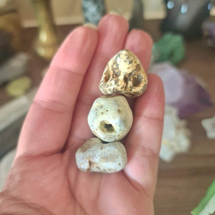 Three hag stones with holes in the center, held in a person's hand. The stones are beige and white with a textured surface.