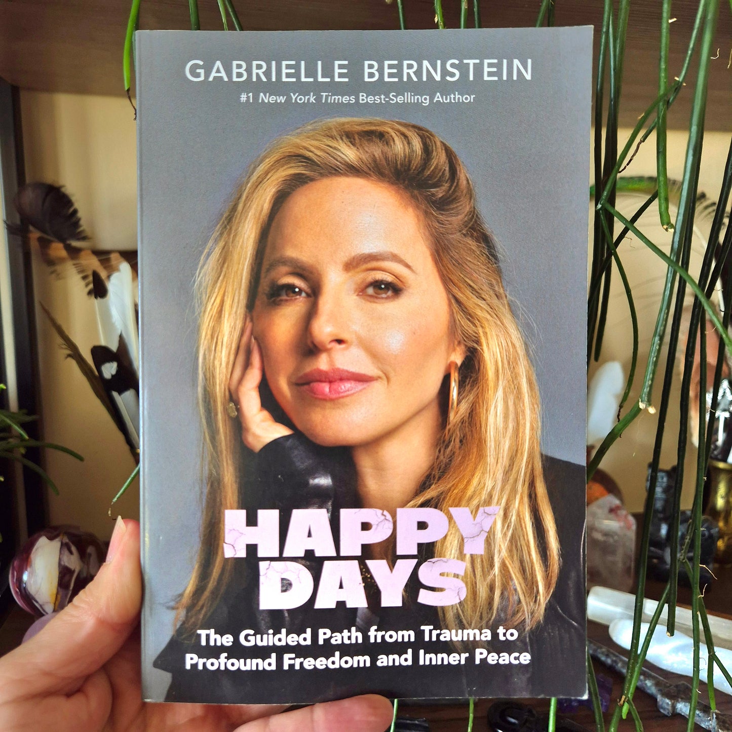 Happy Days softcover book