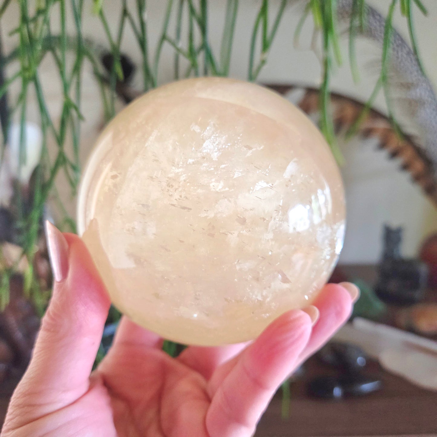 Hand holding a large crystal ball with a blurred indoor background
