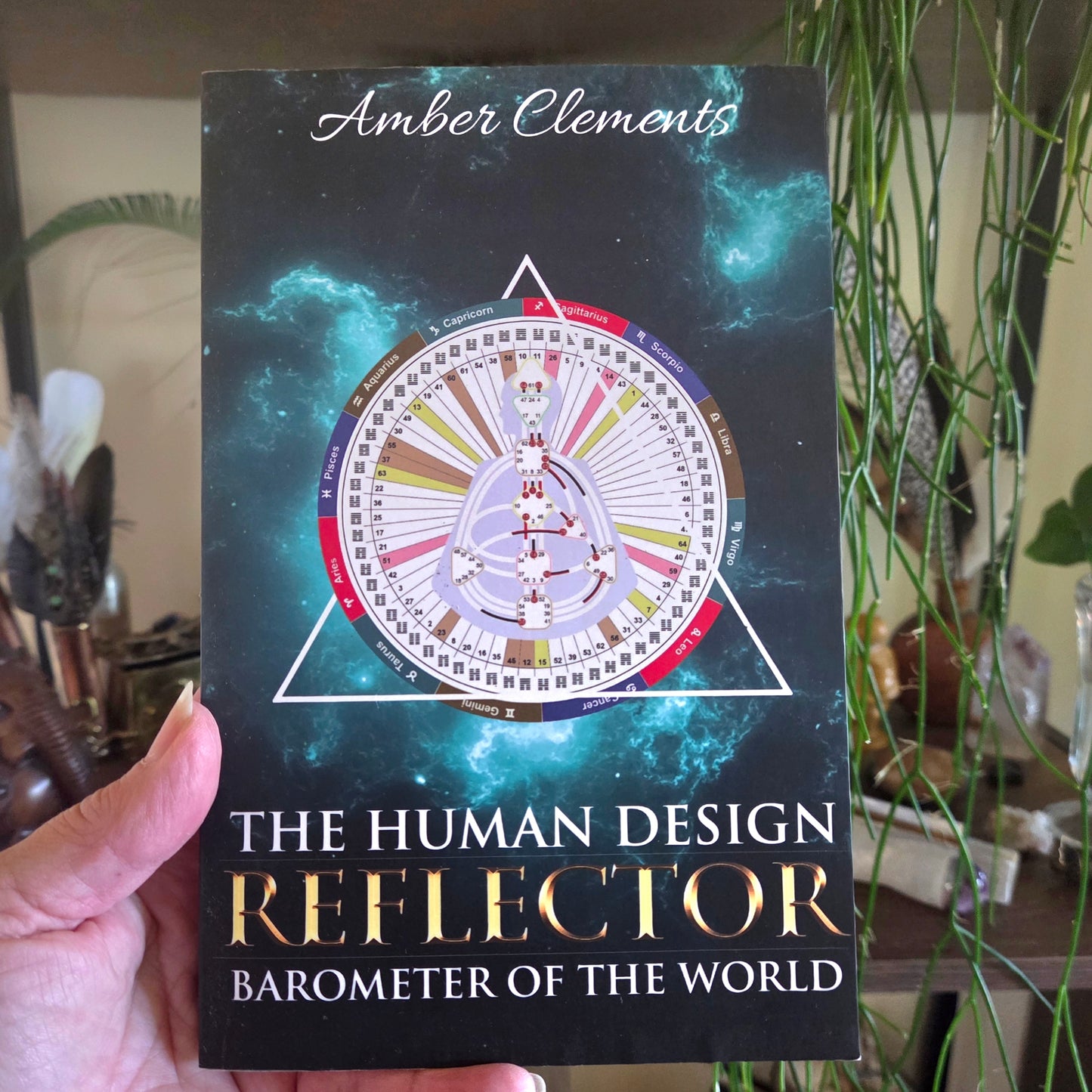 Book titled 'The Human Design Reflector' by Amber Clements held in front of a blurred indoor background.