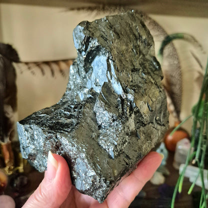 A large, raw jet chunk held in a person's hand, with a blurred background featuring a bird and various decorative items.