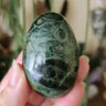 Kambaba Jasper Palm
