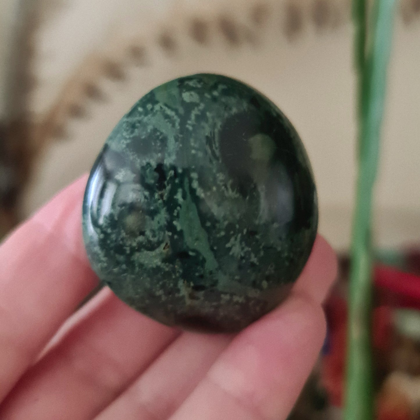 Kambaba Jasper - Medium