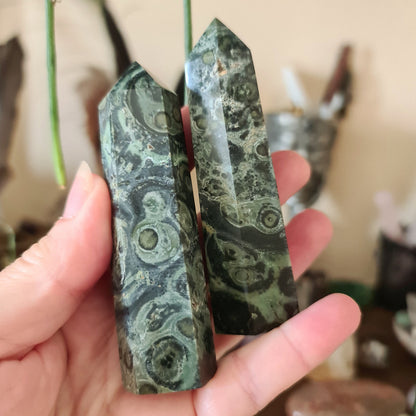 A hand holding a Kambaba Jasper stone with green and black color patterns and a smooth surface.