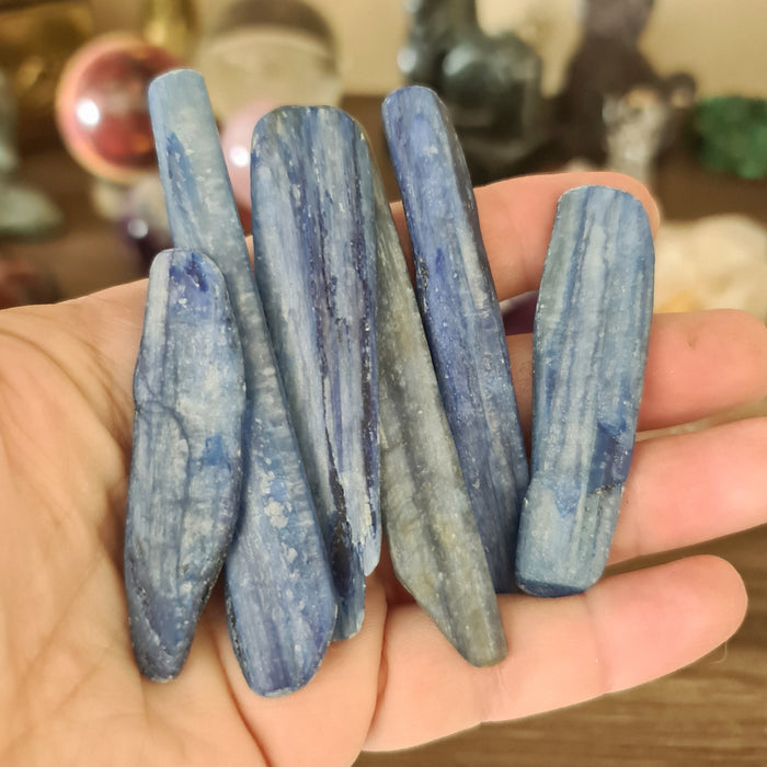 A person holding several blue kyanite crystals