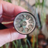 LED UV Torch