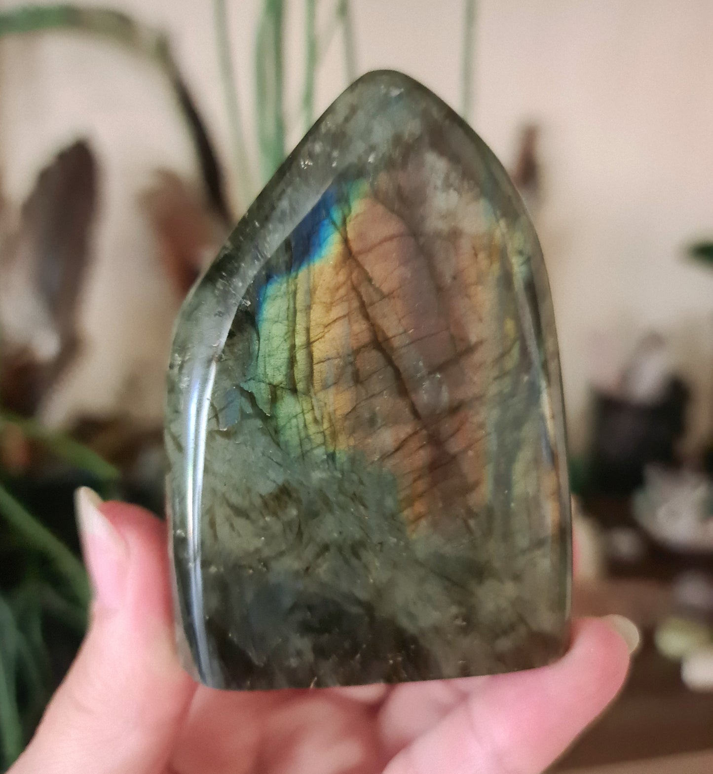A polished free-form Labradorite stone with a colorful iridescent surface, held in a person's hand.