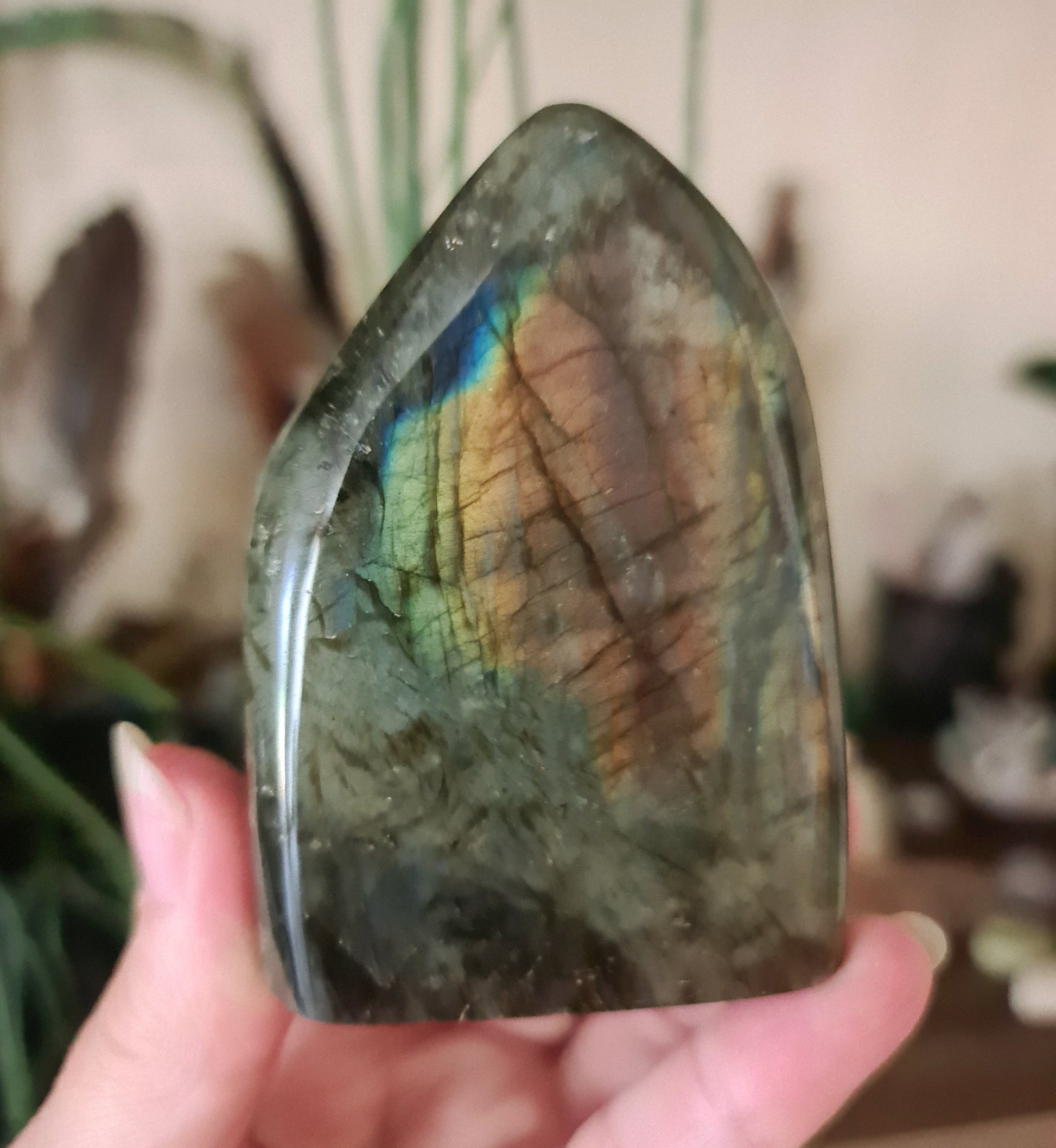 A polished free-form Labradorite stone with a colorful iridescent surface, held in a person's hand.