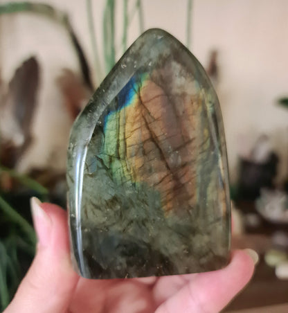 A polished free-form Labradorite stone with a colorful iridescent surface, held in a person's hand.