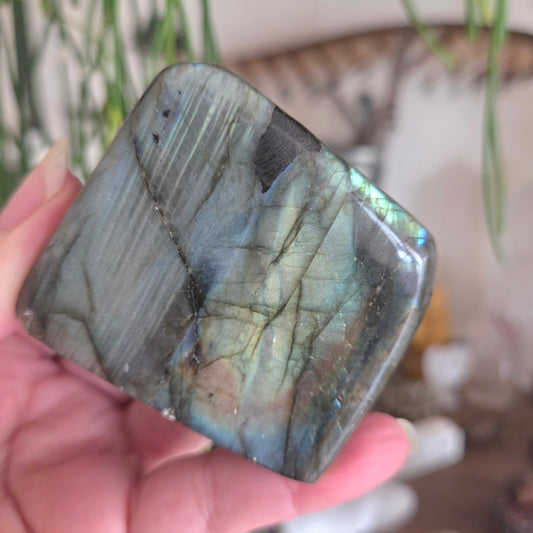 Person holding a labradorite stone with a blurred natural background
