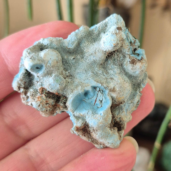 A close-up image of a Larimar specimen with blue and green colors, held in a person's hand.