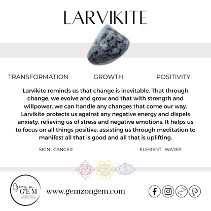 Larvikite Raven Skull