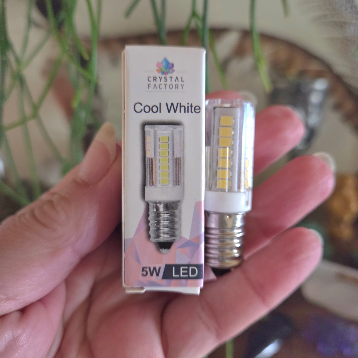 Hand holding a 5W LED bulb and its packaging 