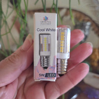 Hand holding a 5W LED bulb and its packaging 