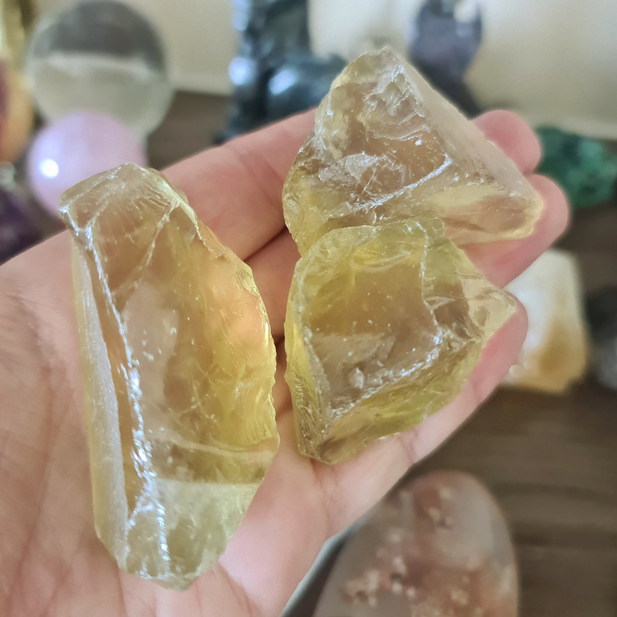 A person holding lemon quartz chunks with a blurred background.