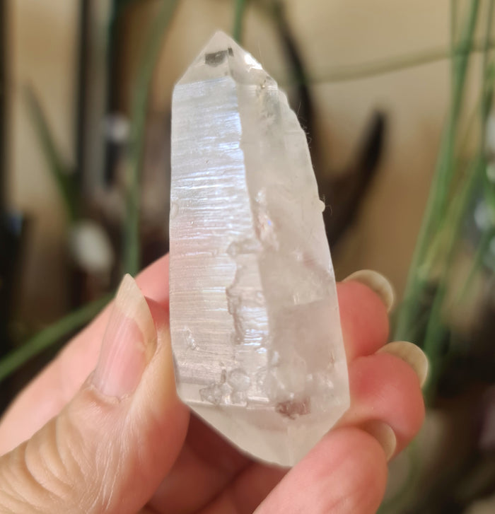 A close-up of a clear, polished Lemurian seed crystal point with visible grooves and markings, held in a person's hand.
