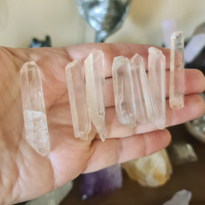 A collection of polished Lemurian quartz crystals held in a person's hand, with various sizes and shapes visible.