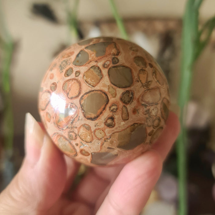 A polished, irregularly shaped stone with a mottled reddish-brown and gray pattern, held in a person's hand.