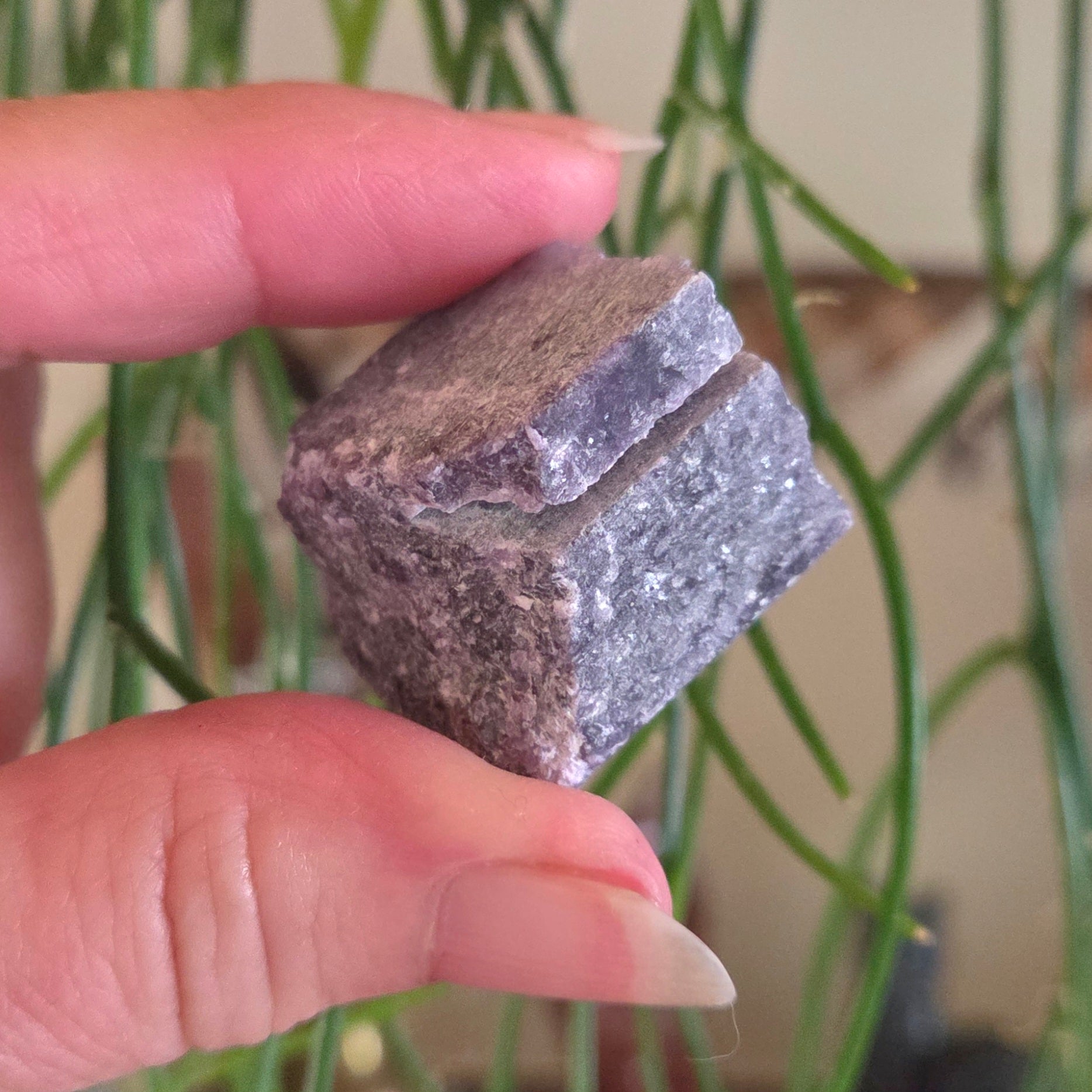 Hand holding a small rectangular stone with a textured surface, blurred green plant in the background