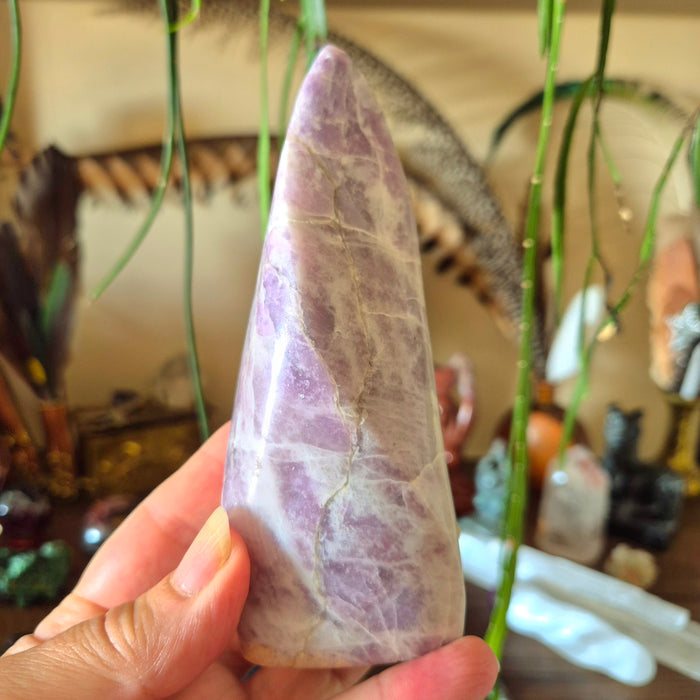 A hand holding a Lepidolite Flame crystal with a purple and pink color pattern.