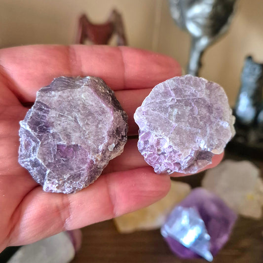 Two polished slices of lepidolite mineral, one larger than the other, held in a person's hand, with a blurred background of similar mineral deposits.