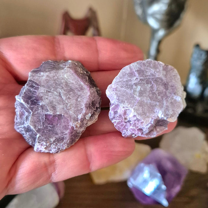 Two polished slices of lepidolite mineral, one larger than the other, held in a person's hand, with a blurred background of similar mineral deposits.