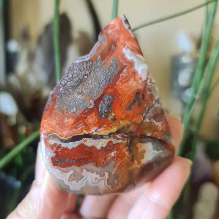 A polished Mexican Lace Agate stone with red, brown, and gray coloring, held in a person's hand.