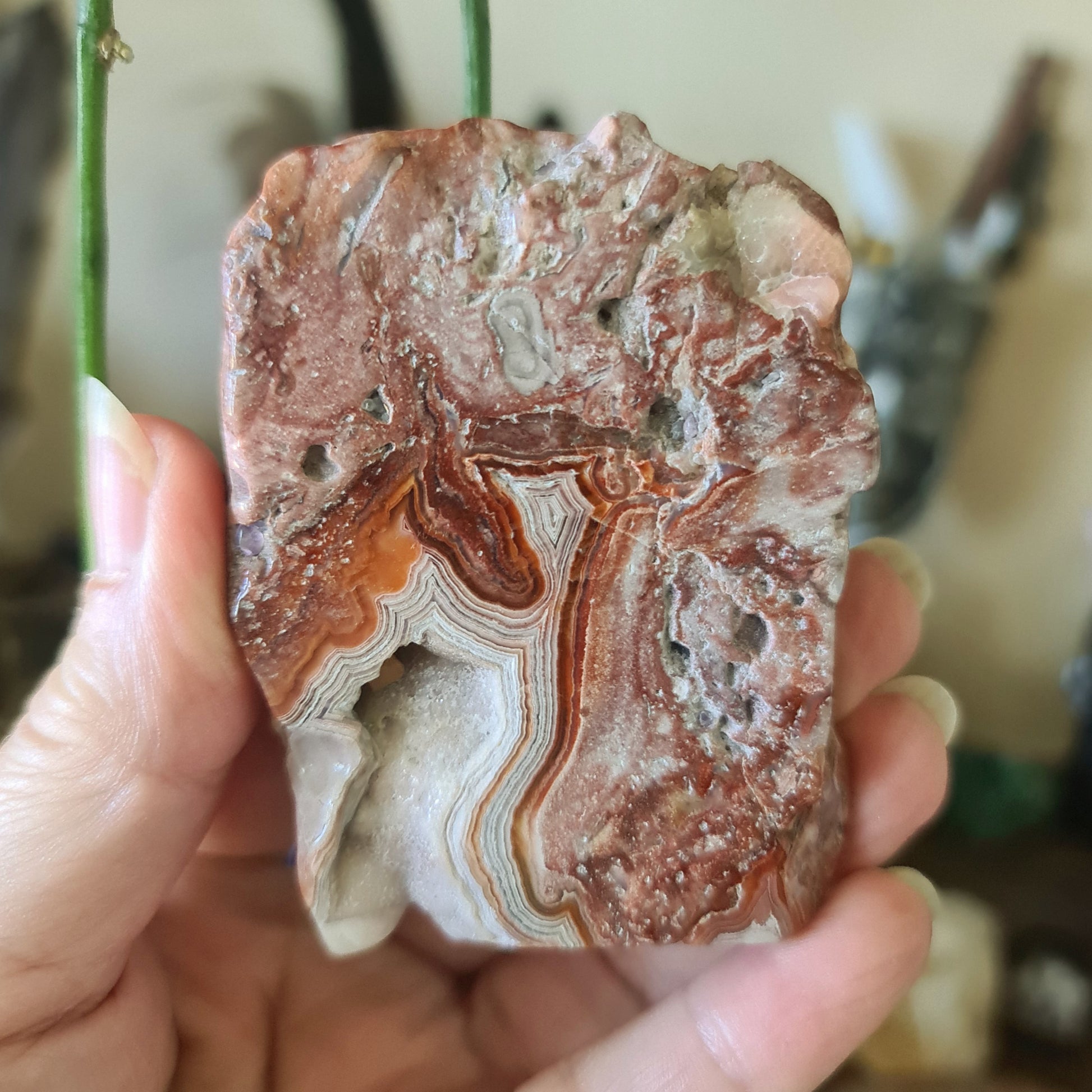 A polished agate slab with a marbled red and brown pattern, held in a person's hand.