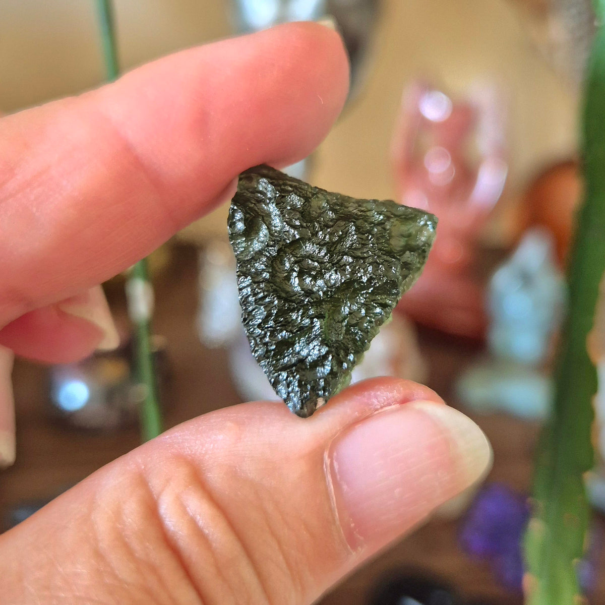 A person holding a small green moldavite specimen against a backdrop of various crystal figurines and plants.